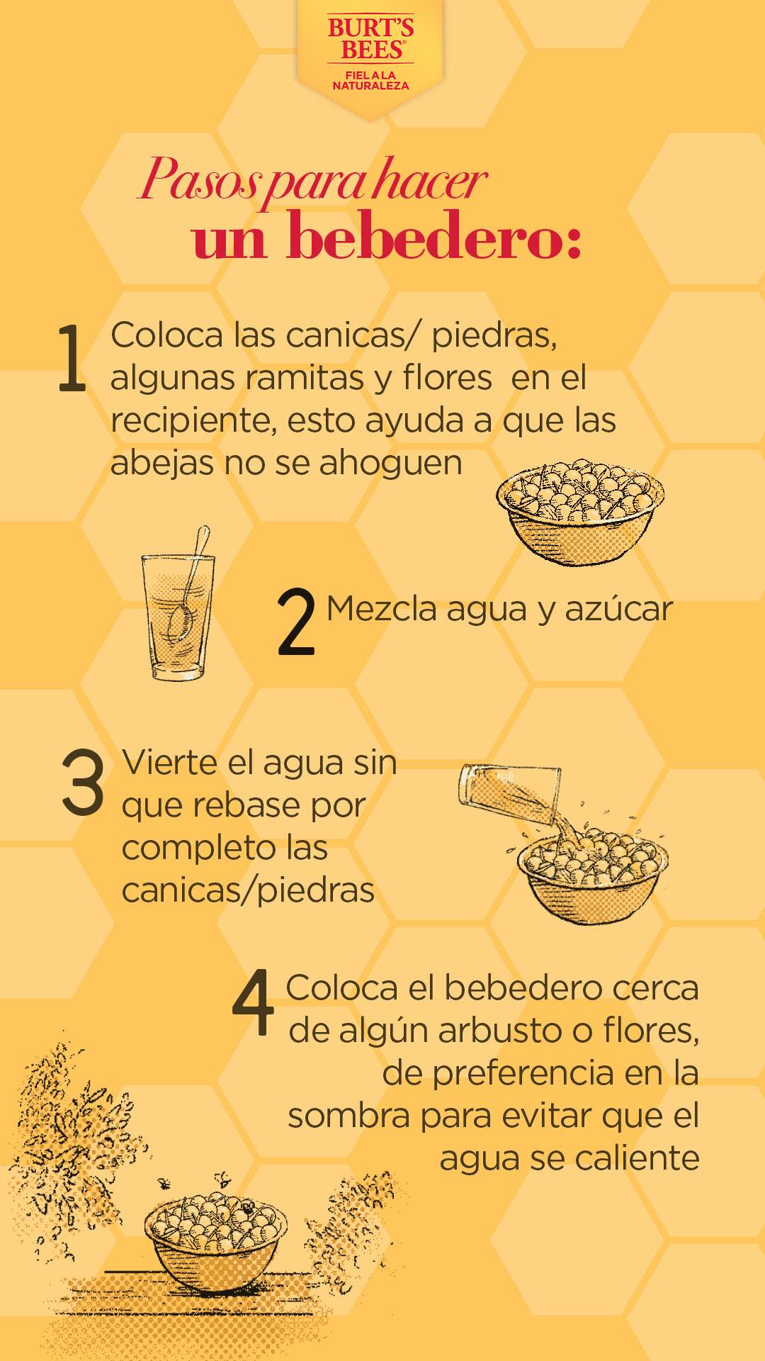 Crea tu propio bebedero para abejas.