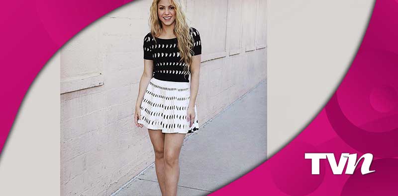 Shakira desató las bajas pasiones de sus fans.