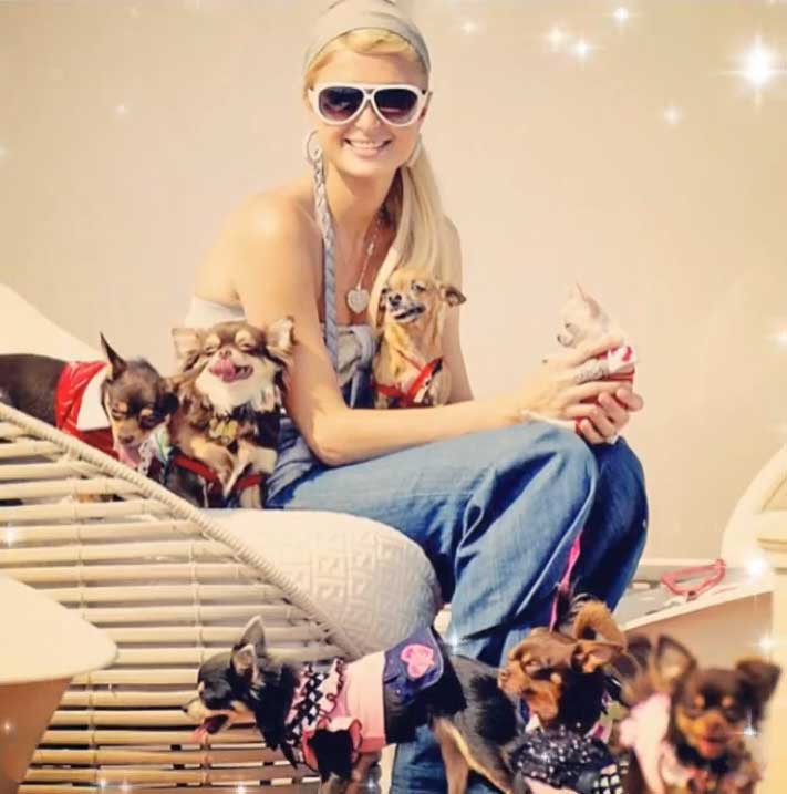 Paris Hilton es amante de los perros miniatura
