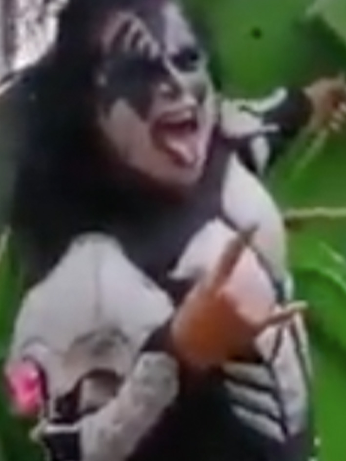 TW I Gene Simmons, el bajista de Kiss compartió el video y reconoció el trabajo de Rodrigo. 