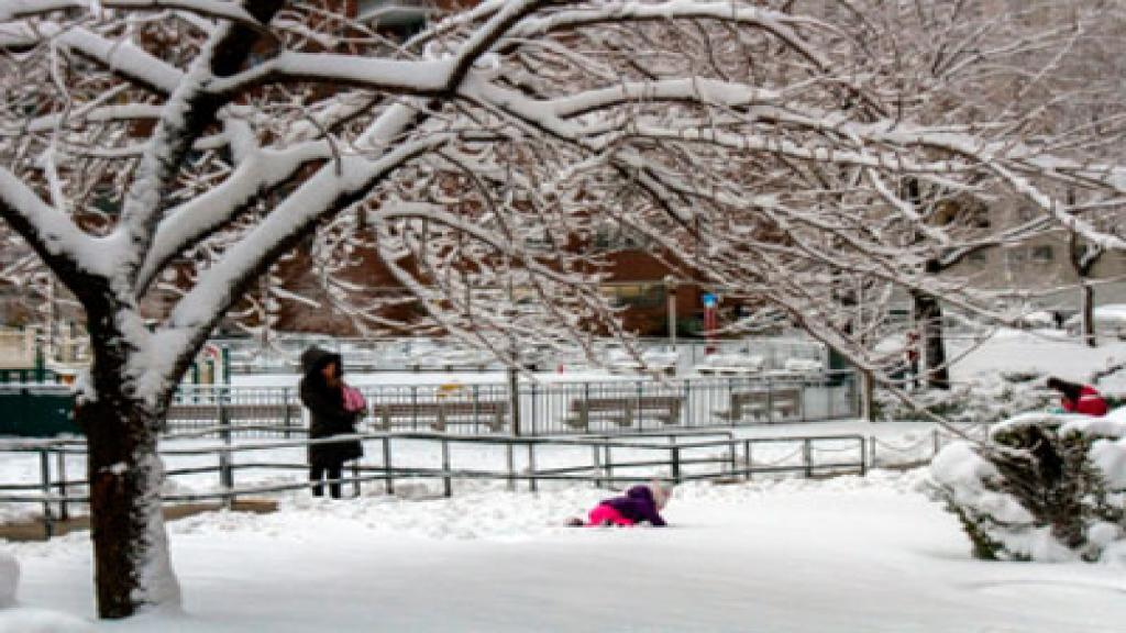 La ciudad de Kofu afrontó la más fuerte nevada de los últimos 120 años.
