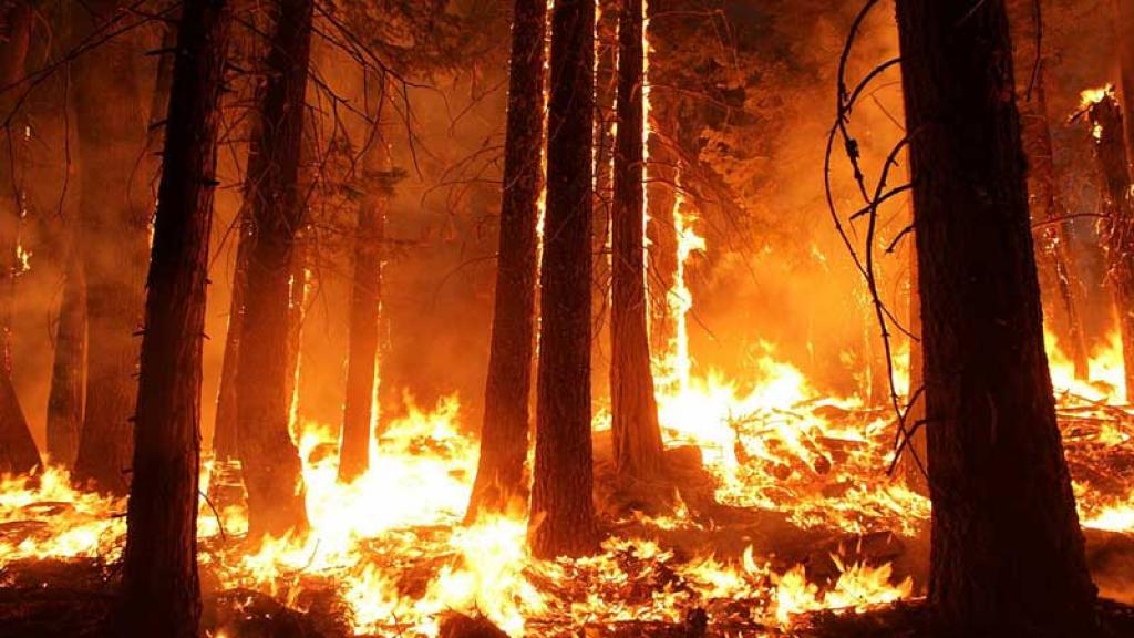 Amazonas rompe récord, lleva tres semanas en llamas