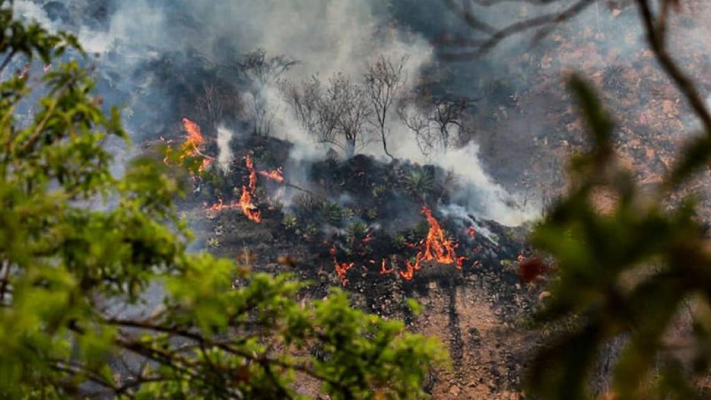 Mujer hace reto de Tik Tok y termina incendiando hectáreas en Tepoztlán 