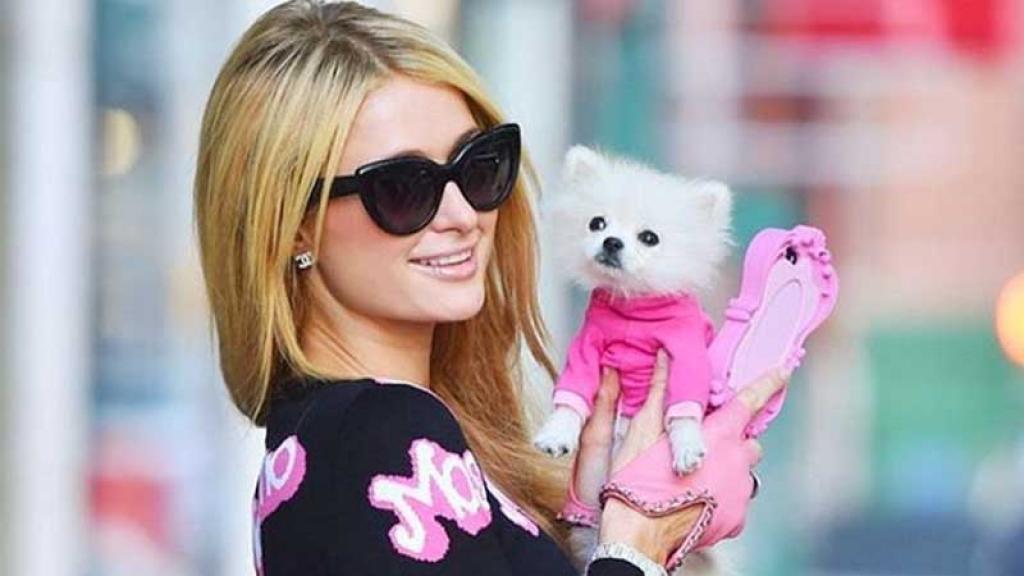 Paris Hilton construyó una casa para sus mascotas