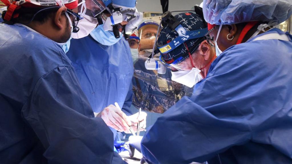 Por primera vez se realiza un trasplante de corazón de cerdo a un humano