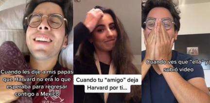 joven mexicano  Harvard chica trend tiktok 