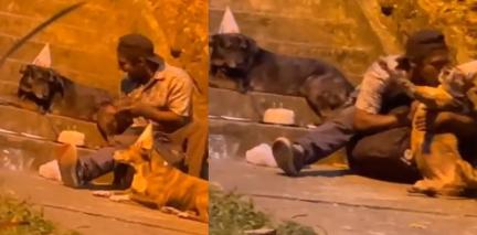 Hombre situación calle celebra cumpleaños  perritos callejeros 