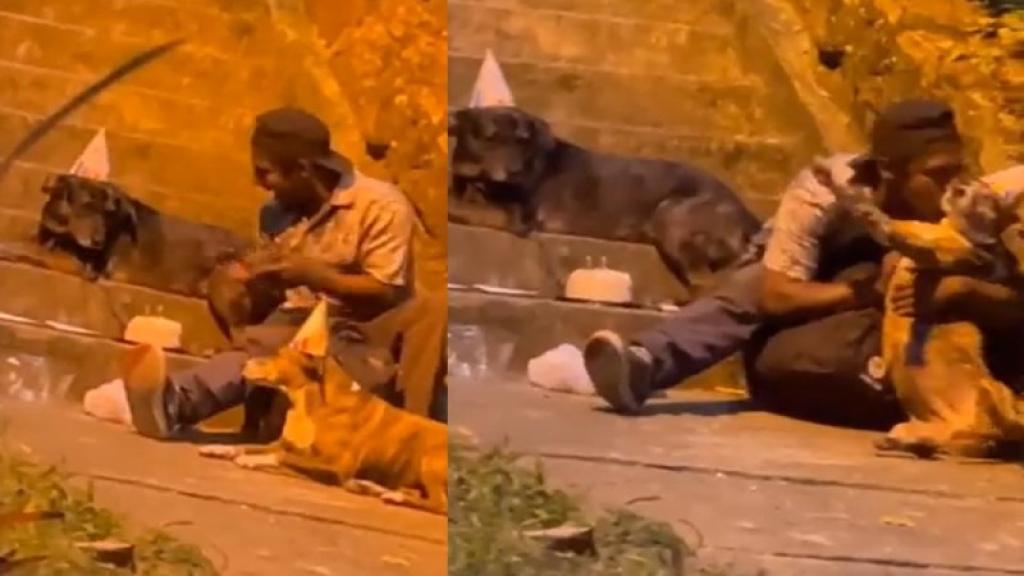 Hombre situación calle celebra cumpleaños  perritos callejeros 